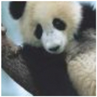 What looks to a human like the identical picture of a panda bear