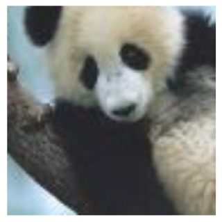 Picture of a panda bear with black eyes and white face